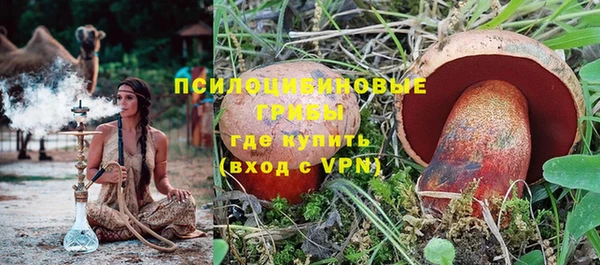 дмт Михайловск